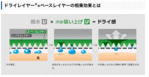 ミレー ドライナミックメッシュ レディース の徹底レビュー 四国の山 Com