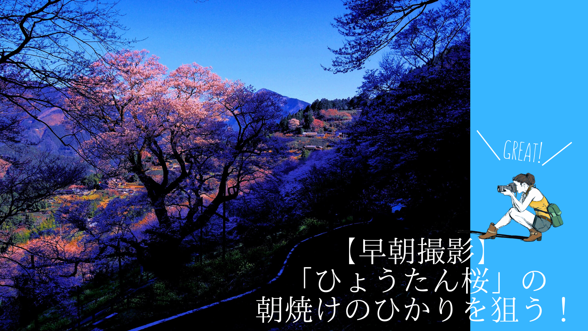 【早朝撮影】「ひょうたん桜」の朝焼けのひかりを狙う！