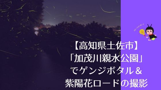 【高知県土佐市】「加茂川親水公園」でゲンジボタル＆紫陽花ロードの撮影