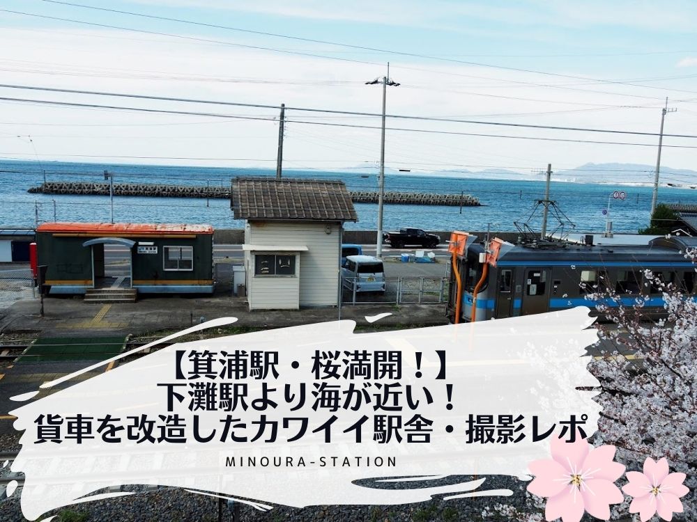 【箕浦駅・桜満開！】下灘駅より海が近い！貨車を改造したカワイイ駅舎・撮影レポ